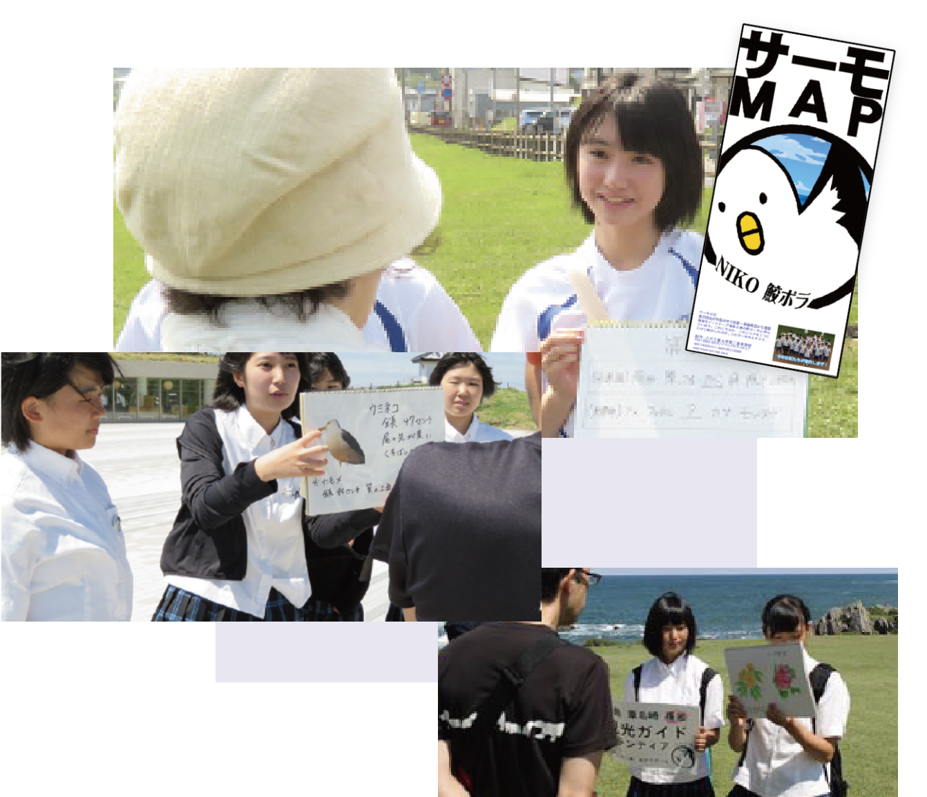 鮫ボラ<蕪島・種差海岸観光ボランティアガイド>